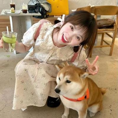家政初学者